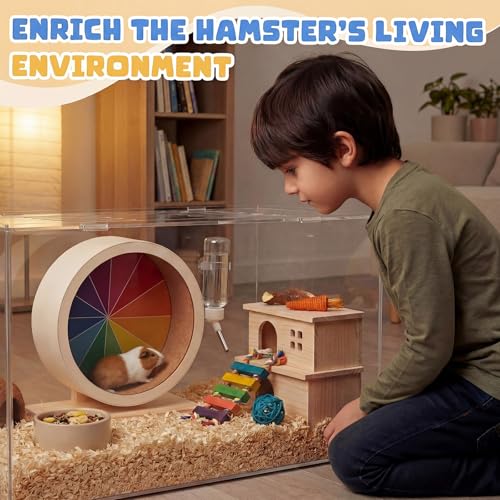 12 Inch Hamster Wooden Silent Wheel, Rainbow Printed Small Animal Exercise Wheel, Quiet Spinner Hamster Running Wheels Toys for Hamsters, Gerbils, Mice and Other Small Pets - size: Large