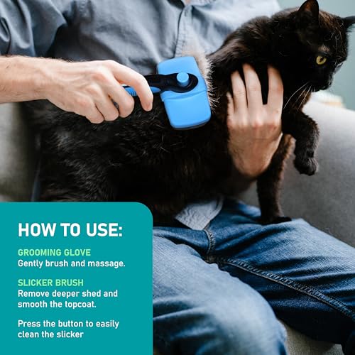 Maxpower Planet Pet Grooming Brush, Shedding Undercoat Rake, Dogs | Blue, Double-Sided Deshedding & Detangling, Rubber Non-Slip Handle, For Cats, Gloves Included - color: C1 - Brush & Gloves, size: Large