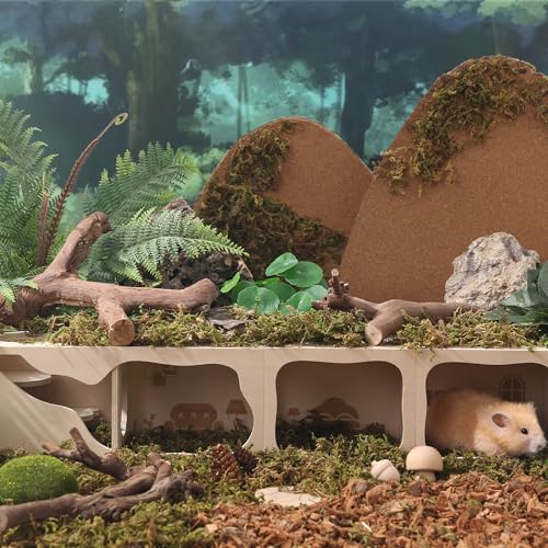 Hamster Hideout Wooden House Chamber Small Animals Pets Tunnel Exploring Toys Secret Peep Shed for Dwarf Hamsters, Syrian Hamsters, Gerbils, Hedgehogs, Rats, Mice (Study Room)
