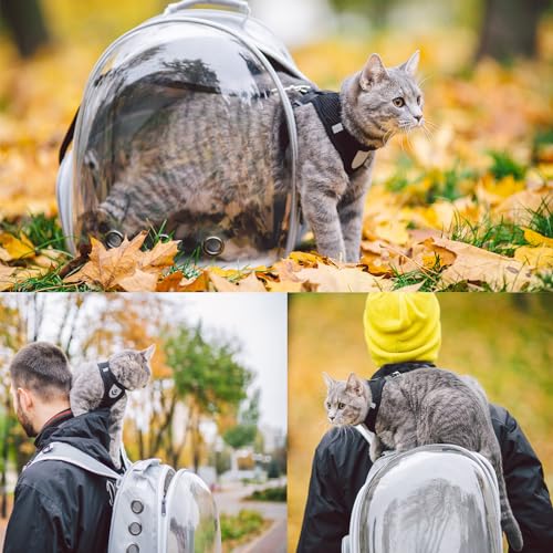 Cat Backpack Carrier, Pet Cat Carrier with Ventilated Design for Carrying Puppy Cats, Pet Carrier Backpack for Traveling/Hiking/Camping/Outdoors Airline Approved Travel Carrier(Grey) - color: Grey
