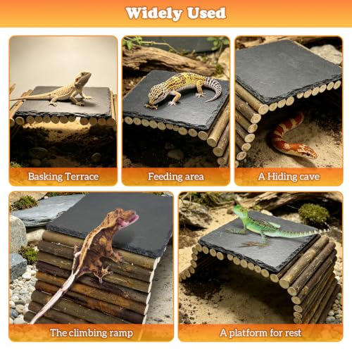 Reptile 15.7x5.9″Bendable Wooden Bridge with 5.9x5.9″Slate Rock Bearded Dragons Basking Platform Set Climbing Hideout Basking Terrace and Hide Cave for Lizard Gecko Flexible Habitat Decor - size: S: 15.7x5.9″Wooden Bridge,5.9x5.9″Slate Rock