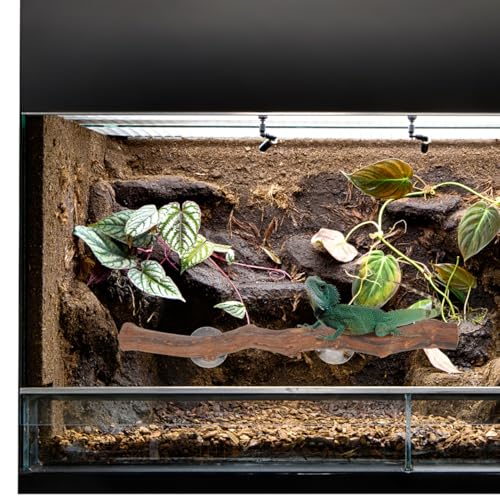FAVOMOTO Wooden Reptile Climbing Branch with Suction Cups, Natural Terrarium Reptile Decor Lizard Climbing Toy for Snake Frog Bearded Dragons Chameleons Habitat Tank Accessories