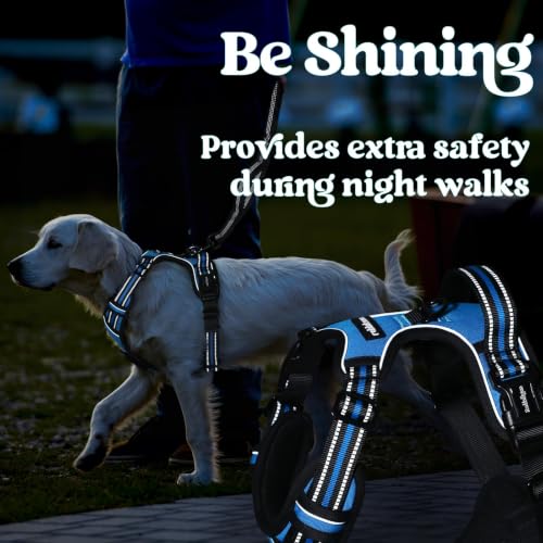 rabbitgoo Dog Harness Small Sized, Updated Easy On & Off with 3 Buckles | No Pull No Choke, Walking with 2 Clips and Handle, Adjustable Soft Reflective, Sky Blue, Small - color: Sky Blue, size: Small