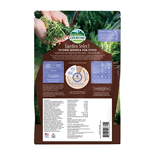 Oxbow Garden Select Young Guinea Pig Food, Uniform Guinea Pig Pellets, 4 lb | Guinea Pig Food, Timothy Hay, Alfalfa, High Fiber for Digestive Health, Vitamins & Minerals, Prevents Selective Feeding - size: 4 Pound (Pack of 1)