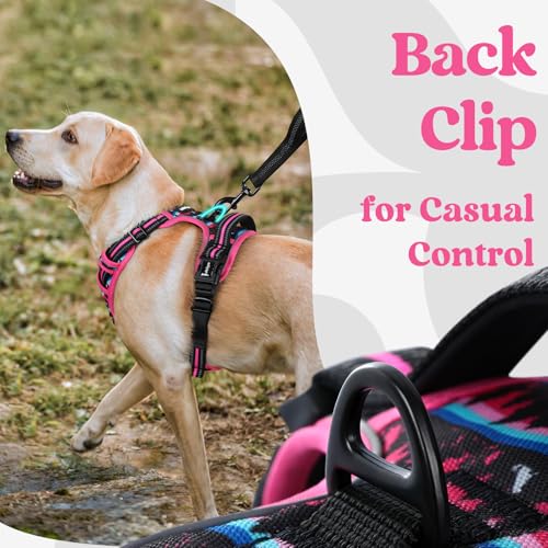 rabbitgoo Dog Harness Small Sized, Updated Easy On & Off with 3 Buckles | No Pull No Choke, Walking with 2 Clips and Handle, Adjustable Soft Reflective, Mountain Rose, Small - color: Mountain Rose, size: Small