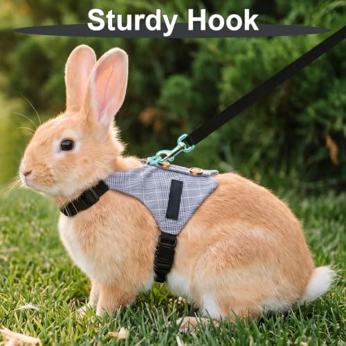 Hypeety Multipurpose Rabbit Vest Harness and Leash Set Adjustable Soft Vest | Breathable and ligthtweight vest, escape-proof buckles, adjustable neck and chest, for bunnies/kittens, formal suit style, M - size: M