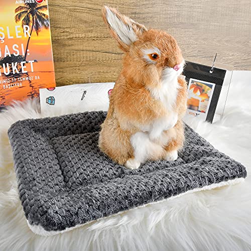 Small Animal Bed Mat, Soft & Warm, Suitable for Guinea Pig, Hamster, Rabbit, Rat and Bearded Dragon (X-Large(13.3''x9.4''), Mesh Black) - color: Mesh Black, size: X-Large(13.3''x9.4'')