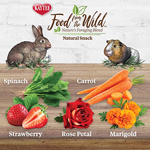 Kaytee Food from The Wild Natural Snack for Pet Rabbits, Guinea Pigs and Other Small Animals, 1 Ounce (Pack of 2) - size: 1 Ounce (Pack of 2)