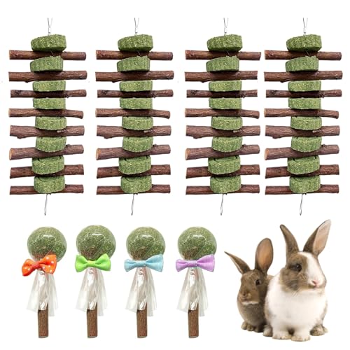 Morezi Guinea Pig Toys Bunny Chew Toy Rabbit Enrichment Accessories for Bunnies Chinchillas Hamsters Mice 8 Sets