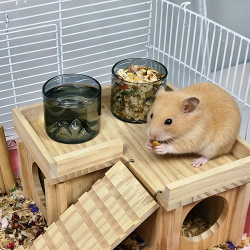 2 Pcs Hamster Feeding & Water Bowls, Glass Hamster Water Bottle Rat Food Bowl Anti Turning Small Animal Bowls for Gerbils Mice Rats (Grey) - color: Grey