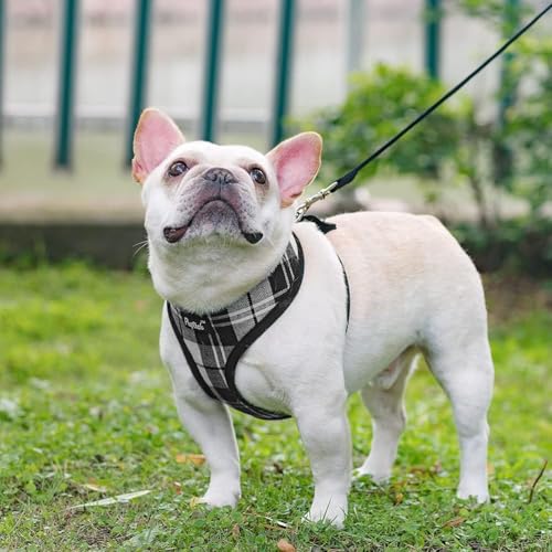 PUPTECK Soft Mesh Dog Harness and Leash Set Pet Puppy Cat Comfort Padded Vest No Pull Harnesses, Black&White, S - color: Black&White, size: S (NECK: 12", CHEST: 14"-18")