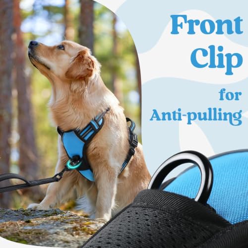 rabbitgoo Dog Harness Small Sized, Updated Easy On & Off with 3 Buckles | No Pull No Choke, Walking with 2 Clips and Handle, Adjustable Soft Reflective, Sky Blue, Small - color: Sky Blue, size: Small