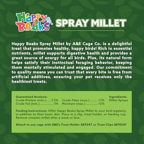 A&E Cage Co Premium French Millet Spray Bird Treat, 1 lb Bag | Grown in France, No Artificial Preservatives, Source of Fiber & Minerals, Encourages Natural Foraging - size: 1lbs