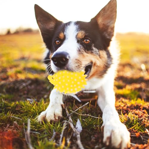 FRCOLOR Hedgehog Dog Squeaky Toys 2 Pcs Pet Molar Toys Latex Chew Toys for Puppies Interactive Teething Toys for Dental Care Cartoon Pet Toys 3.54 X 2.75 X 2.36 in