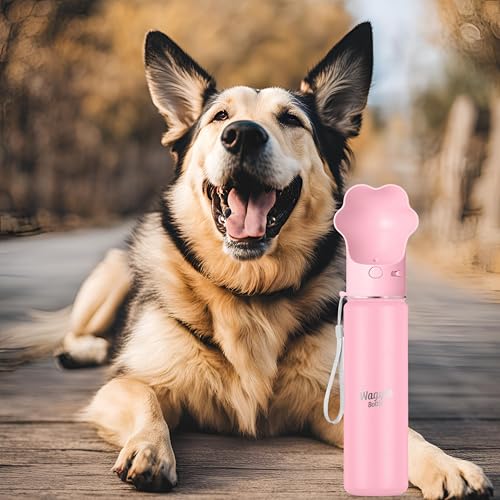 Stainless Steel Dog Travel Water Bottle, Vacuum Insulated Portable Dog Water Dispenser, Drink Cup and Snack Container On The Go, Outdoor Walking, Hiking, Travel (Pink, 22oz) - color: Pink