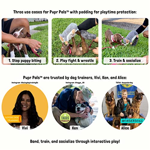 Milunova Pupr Pals Dog Toy Puppet with Tough Padding for Safe Interactive Play, Protection to Stop Puppy Biting Hands; for Boredom-Busting Training and Exercise - style: Nutjob