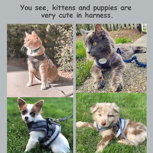 Cat Harnesses and Puppy Harness with Leashes Set, Escape Proof Cat Harness, Adjustable Reflective Soft Mesh Vest Fit Puppy Kitten Rabbit Ferrets's Outdoor Harness - color: DarkGrey, size: S (Chest: 9" - 11")