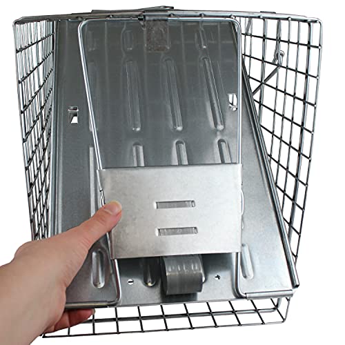 Havahart Large 1-Door Live Animal Trap for Raccoons, Cats, Bobcats, Beavers | Heavy Duty Humane Catch and Release Cage Trap for Outdoor Pest Control, 1079SR