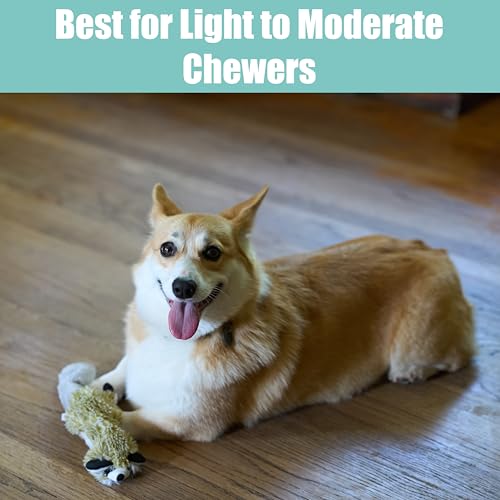 SPOT Skinneeez Raccoon 14 Inch Stuffing-Free Plush Dog Toy – Soft, Mess-Free Toy with One Squeaker for Small & Medium Dogs, Best for Light to Moderate Chewers - style: Mini Raccoon