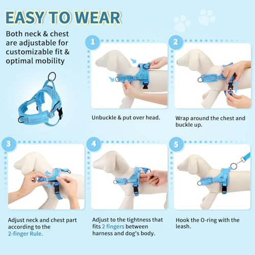 Lukovee Small Dog Harness and Leash Set, No Pull Soft Padded Vest | Both Neck & Chest Adjustable, Reflective, Puppy Harness with 4ft Lightweight Anti-Twist Dog Leash for Small Dogs (LBL, XXS) - color: Light Blue, size: XXS ( Chest 11.5'' ~ 15'')