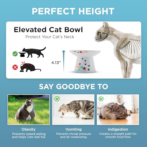 Necoichi Ceramic Extra-Wide Elevated Cat Food Bowl (Fuji, Extra Wide) - color: Fuji, size: Large Extra Wide