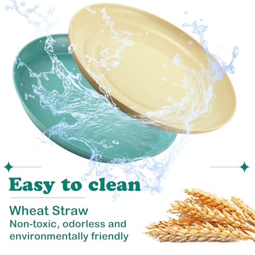 Gerrii 24 Pieces Fatigue Relief Cat Bowl 6 Inch Shallow Cat Food Dish Stray Wet Feeding Bowls Wide and Small Pet Plates for Ferrets Feral Short Legged Kitten Shelter(Assorted Color,Convention) - color: Assorted Color, style: Classic