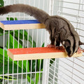 Sugar Glider Toys Cage Steps - Small Animal Climbing Steps Sharpening Claws Sugar Glider Enrichment Toys Scratching Snadpaper for Cages (Blue+ Orange) - color: Blue+ Orange
