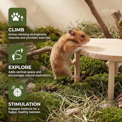 NOLITOY Hamster Platform Fan Shaped Wooden Cage Accessory Space-Saving Small Pet Climbing and Resting Stand Multi-Use Hamster Cage Platform for Hamsters Gerbils and Small Animals