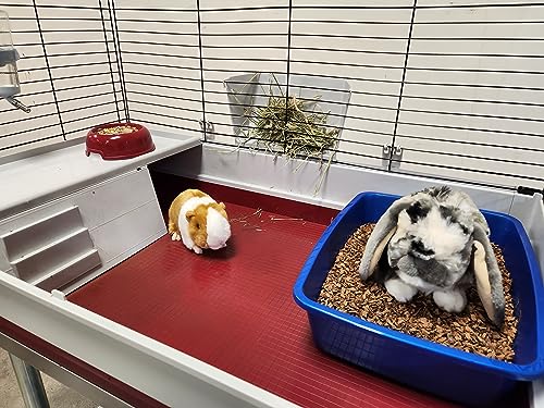 Small Animal Bedding – 20 L –– Coco Chip Fiber Bedding Substrate for Guinea Pig, Hamster, Rabbit, Bunny Litter, Tortoise, Turtle, Reptile, Snake Habitat - Activated Charcoal Odor Control