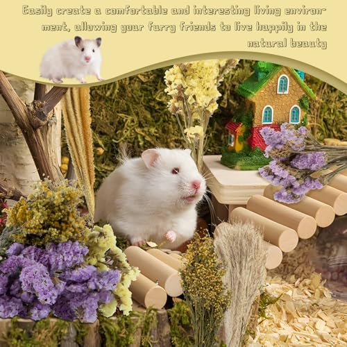 Sukh 47 Pcs Hamster Sprays - Natural Dried Flower and Herb Forage Mix | Sprays for Hamster Cage Accessories, Habitat Decor & Enrichment for Syrian Dwarf Hamsters, Gerbils, Guinea Pigs, Small Pets