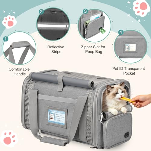 Cat Carrier Top Load, Privacy Curtains Soft Pet Travel Bag Airline Approved | Collapsible Soft-Sided Cat/Dog/Pet Carrier for Small Cats Dogs Puppy Under 16 lb, Washable Kitten Mesh Cage (16.9x10.8x10.8) - color: Gray