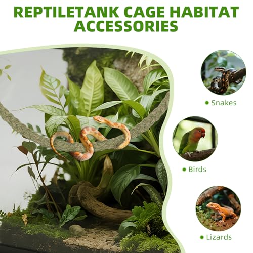 Snake Climbing Rope,Snakes Ladders Toys, Snake Enrichment Supplies, Small Reptile Tank Accessories, Reptile Climbing Toys for Ball Python Corn Hermit Crab Lizards Geckos (Green) - color: Green