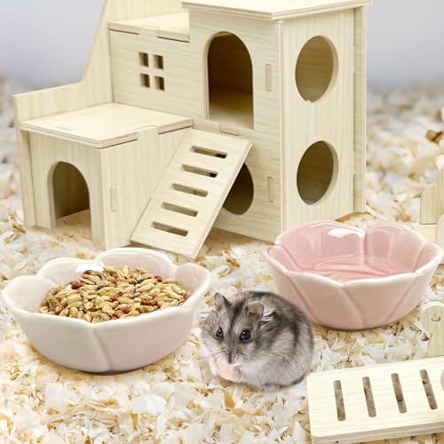 BNOSDM 2 Pcs Hamster Ceramic Food Bowl Flower Series Gerbil Drinking Bowls Anti-Turning Food & Water Dish for Dwarf Syrian Hamsters Gerbil (Pink, Rose Pattern, 3.74“ x3.74“ x1.77“) - color: Pink