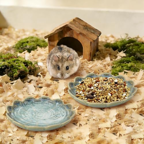BNOSDM Shallow Ceramic Hamster Food Dish 2 Pcs Small Animals Food Bowl Sunflower Feeding Dishes for Gerbils Mice Rats 4.5in (Dark Green) - color: Dark Green