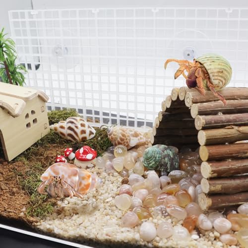 4 Pcs Hermit Crab Climbing Grids with Suction Cups Hermit Crab Climbing Toys Small Animal Cage Accessories for Hermit Crabs, Turtles, Lizards, and Tarantulas