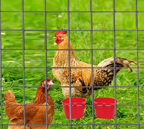 20 Pack Cage Cups Chicken Feeders Waterer Bird Water Cup Bunny Food Bowl Plastic Drinker Hanging Quail Dove Feeding Watering Dish Seed Container Coop Feeder for Parakeet Poultry Pigeon - color: Red 20 packs
