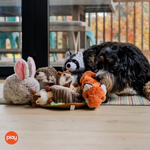 P.L.A.Y. Cute Plush Dog Toys - Forest Friends Critter Themed Durable Squeaker Crinkle Chew Toys, Great for Puppies & Small, Medium, Large Dogs - Machine Washable, Recycled Materials (5 Piece Set) - style: 5 Piece Set