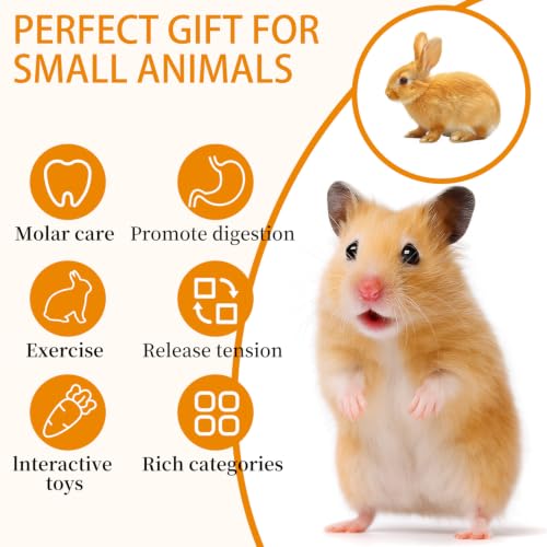 Hamster Cage Accessories & Habitat Set, Wooden Maze House, Adjustable Silent Wheel, Water Bottle Set, Wooden Bench，Sand Bath tub & Chew Toys, 20 Pcs Kit for Dwarf Hamster Gerbil Mouse (Upgrade) - size: Upgrade