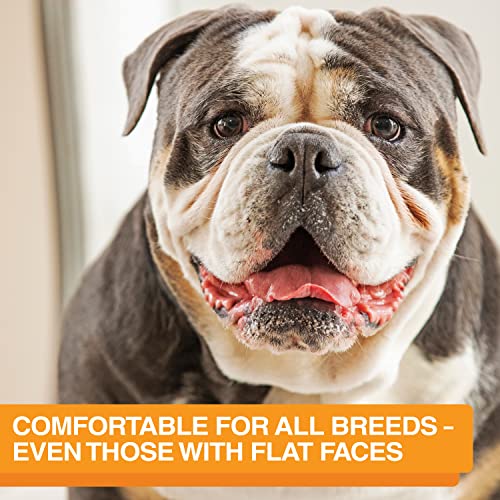 Neater Feeder Express Mess Proof Dog Bowls Elevated for Medium and Large Breed – Made in USA – No Spill Raised Slow Feeder Elevated Dog Bowl Stand, Slow Feed Food and Water Bowl Set, Almond - color: Almond, size: Medium to Large w/ 9 Peak Slow Feed Bowl