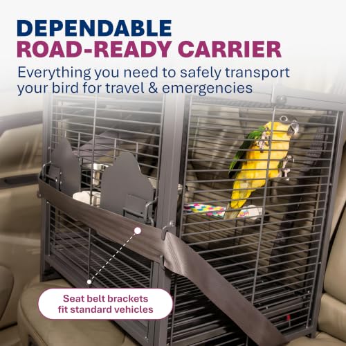 Prevue Pet Products Playtop Travel Carrier - Outdoor Travel Bird Cage for Small Parrots & Birds, Front Facing Door, Rope Perch, Lightweight & Portable, Easy Transport - Black