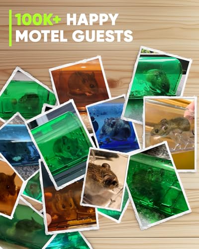 Motel Mouse Humane No Kill Mouse Traps Live Catch & Release - 4 Pack | Imrpoved Tail Protection • Kid & Pet Friendly • No Touch Release • Reusable Design • Easy to Use - color: Regular Green 4 Pack