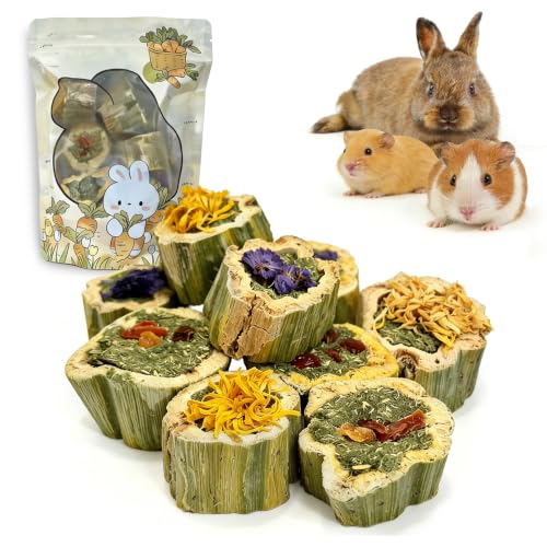 BNOSDM Hamster Chew Treats Chinchilla Natural Fruit & Vegetable Petal Mix Snacks Rabbit Papaya Toys for Teeth for Guinea Pigs Syrian Dwarf Hamsters Gerbils Mice, (3.5oz/100g),1PCS - color: Mixed - 1 Pack
