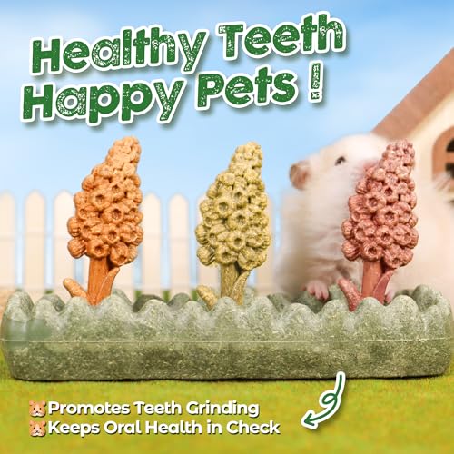 TEEWY 4PCS Guinea Pig Chew Toys, Prevent Teeth Overgrowth, Natural Timothy Grass & Vegetables, Hamster Toys, Guinea Pig Toys, Chinchilla Toys, Grass Patch & Hyacinth - style: 4PCS-Grass Patch & Hyacinth