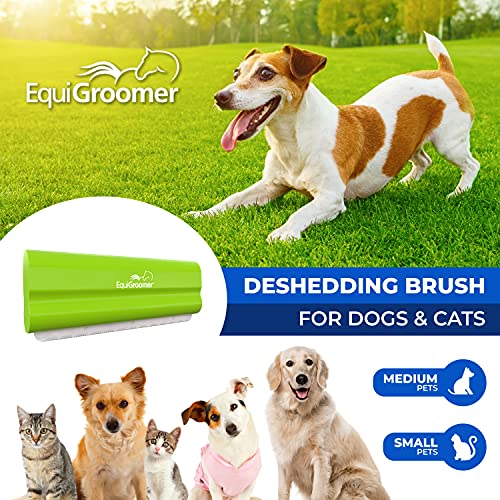 EquiGroomer 5-Inch Undercoat Deshedding Brush for Dogs & Cats, Lime | Best for dogs up to 100 lbs and cats of any size, short or long hair, stainless blade, no cutting or pulling - color: Lime, size: 5 Inch