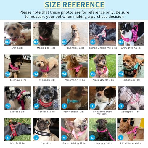 SlowTon No Pull Small Dog Harness and Leash Set with Front Clip | Soft Padded, Neck & Chest Adjustable, Lightweight, Anti-Twist, Puppy Vest Harness Pet Lead Combo for Small Medium Dog, FU XXS - color: Fuchsia, size: XX-Small
