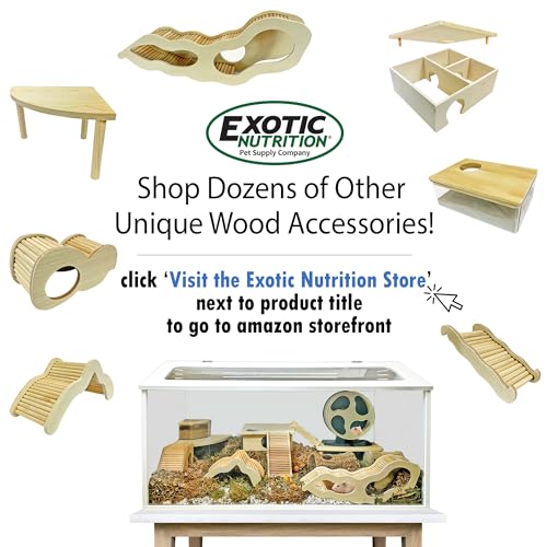 Exotic Nutrition Acrylic Sand Bath House - Fun & Unique Cage Accessory for Hamsters, Gerbils, Chinchillas, and Degus (Corner) - size: Corner