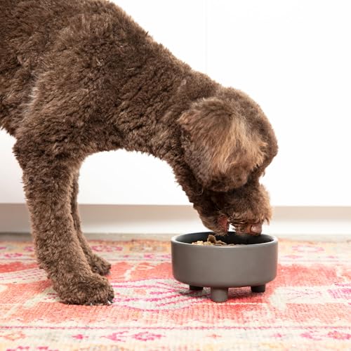 Waggo Uplift Ceramic Dog Bowl for Small Medium and Large Breeds - Heavyweight and Durable Pet Food and Water Dish Crock, Dishwasher Safe, Modern, Elevated Feeder (Speckle, Medium) - color: Speckle, size: Medium