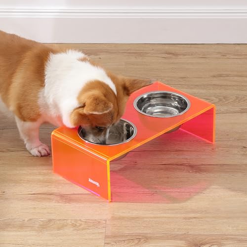 DBL2000E Keaton 5" Small/Medium Modern Acrylic Rectangular Elevated Pet Feeder with 20oz 2-Stainless Steel Bowls, Pink/Chrome - color: Pink/Chrome, size: 20 Ounces (5" Cups 2-Pack)