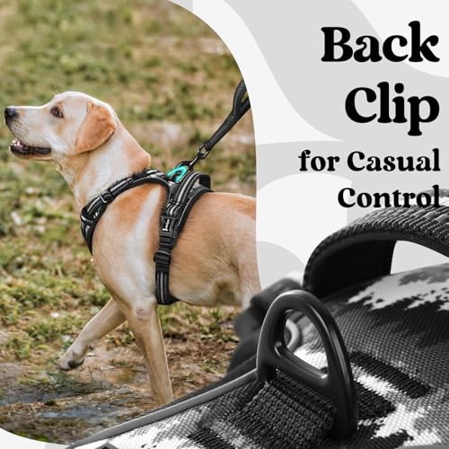 rabbitgoo Dog Harness Small Sized, Updated Easy On & Off with 3 Buckles | No Pull No Choke, Walking with 2 Clips and Handle, Adjustable Soft Reflective, Mountain Black, Small - color: Mountain Black, size: Small