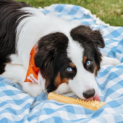 Nylabone Power Chew Textured Bone Dog Toy, Peanut Butter Flavor, X-Large | Durable dog toys, long lasting, discourages destructive chewing, teeth-cleaning texture, flavor throughout, for dogs 50+ lbs - size: X-Large